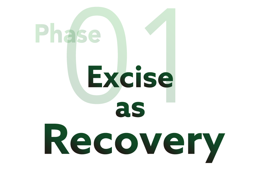 Excise as Recovery